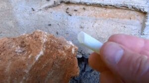 remèdes naturels craie contre les fourmis éloigner