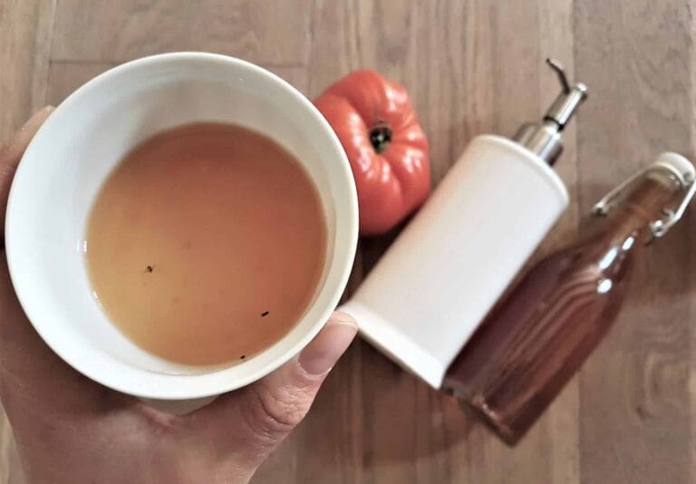 astuces anti moucherons mouches du vinaigrelutter contre les insectes