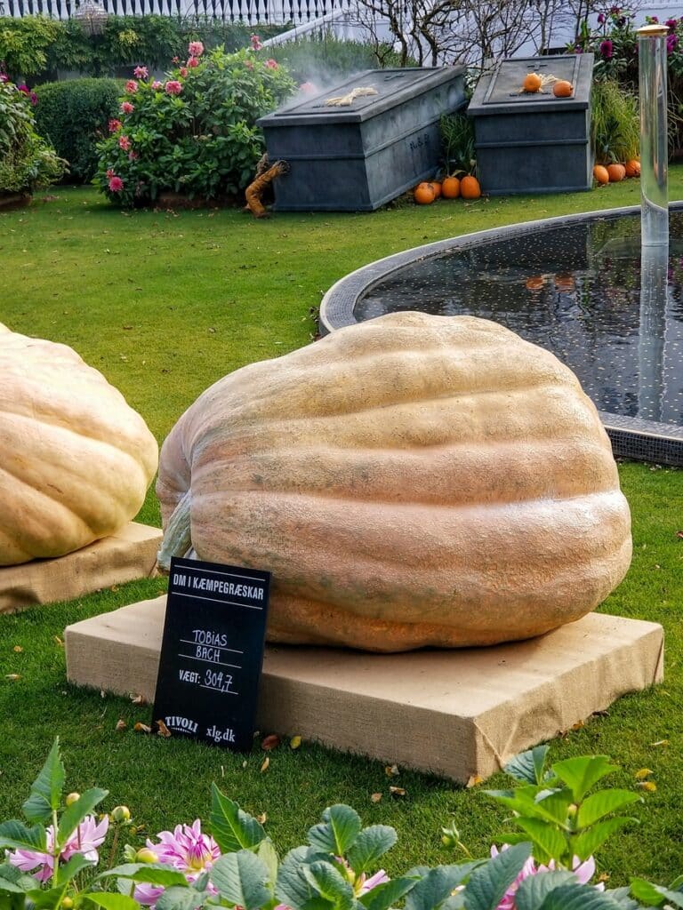 tivoli gardens à Halloween