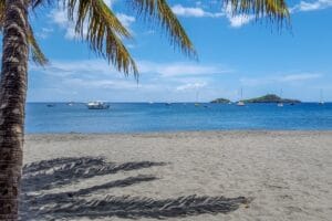 palmiers sur la plage de la Caravelle