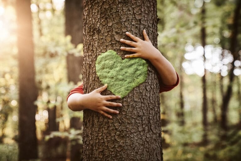 réduire béton enfant embrasser arbre tronc coeur protéger nature forêt