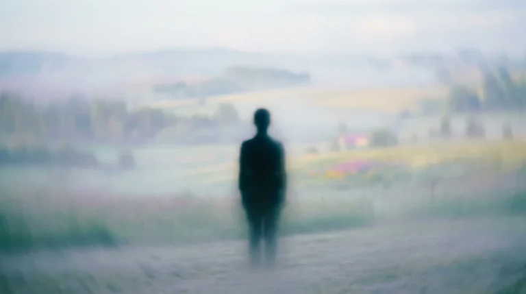 Silhouette énigmatique face à paysage flou : fin de Le mal n'existe pas expliquée